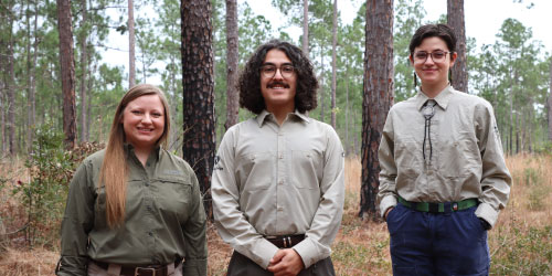 Three individual placements at a project site in the woods.