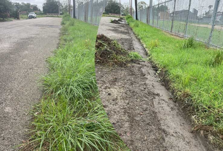 Before and After picture of a line clearing along the road